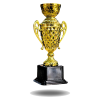 Trophée DS6754C